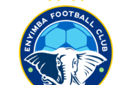 Enyimba FC To Partner Hamkam FC On Player Development